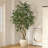 8ft Artificial Ficus Tree with 18in White Planter, Tall Faux Ficus Tree for Indoor, Home Decor