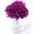 Mauve est en rupture de stock