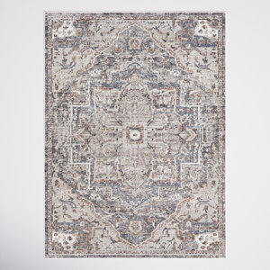 Maelynn Oriental Light Gray Indoor / Outdoor Use Area Rug