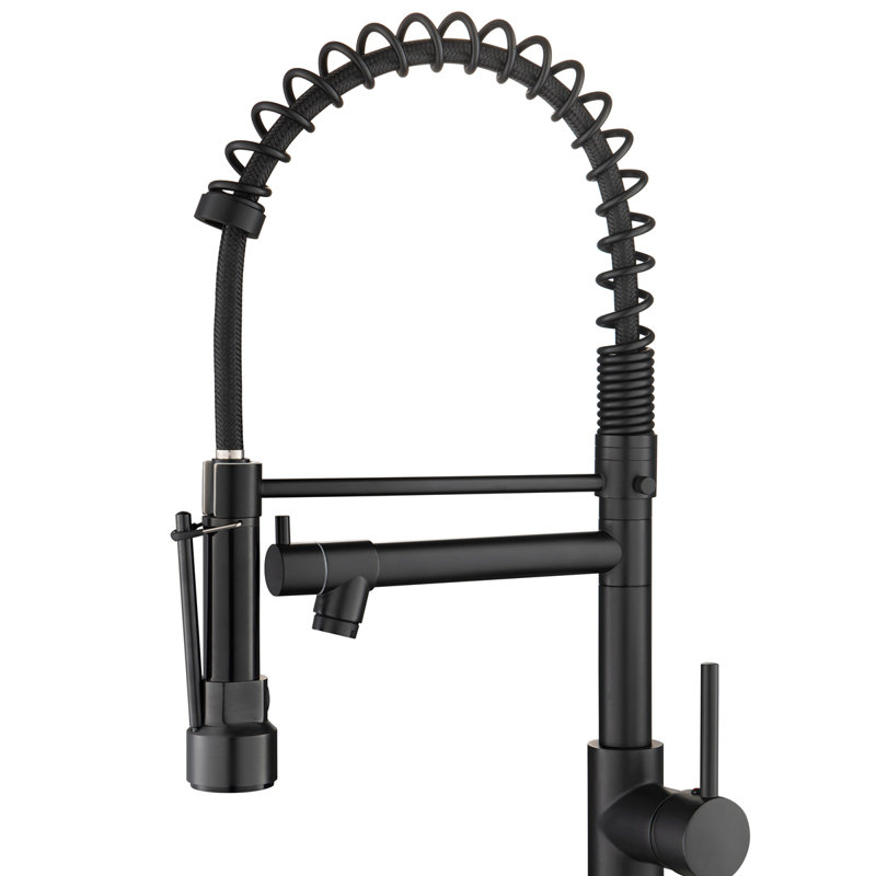 Robinet de cuisine commercial avec pulvérisateur rétractable, robinet d'évier de cuisine à poignée simple