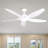 Dainius 60'' Ceiling Fan with LED Lights-1476130425
