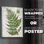 Greenhouse Fern II - impression sur toile seulement - non encadrée-118051908