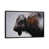 Black Frame is unavailable
