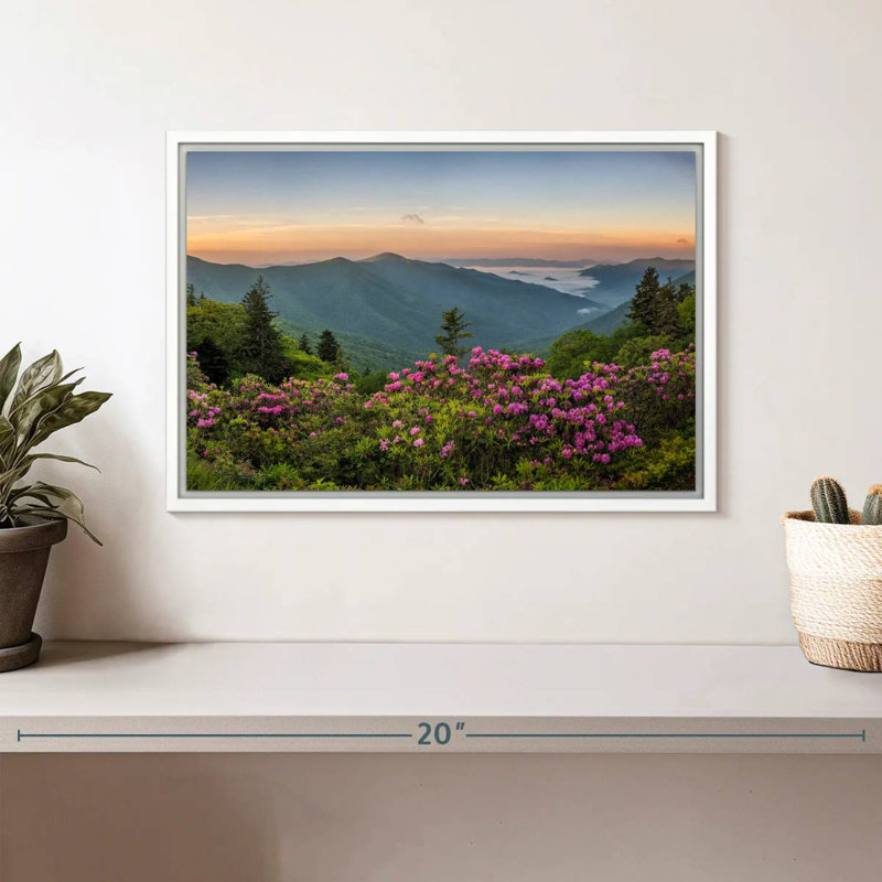 Blue Ridge Mountains View, Cadre flottant blanc, 13 po x 9 po