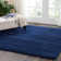 Bardhi Indoor Rug