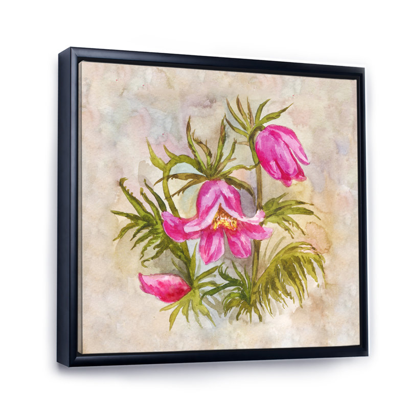 «Pink Pulsatilla Spring Flower», art mural traditionnel sur toile, H 36 po x l 36 po x P 1,5 po