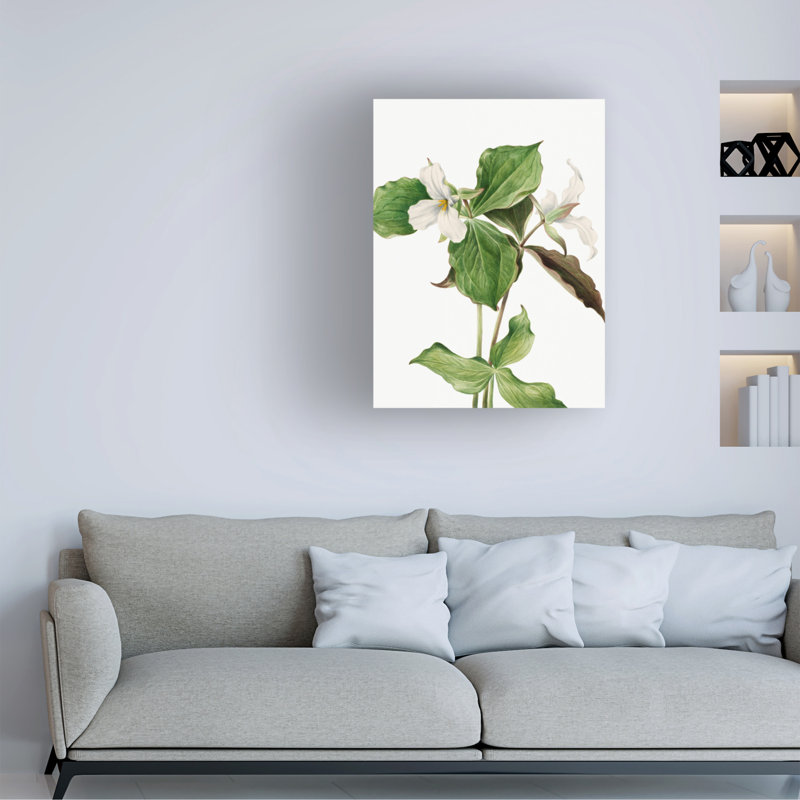 Art sur toile Mary Vaux Walcott, H 47 po x l 35 po