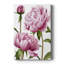 Winsome Peony I - impression sur toile tendue-1348430937