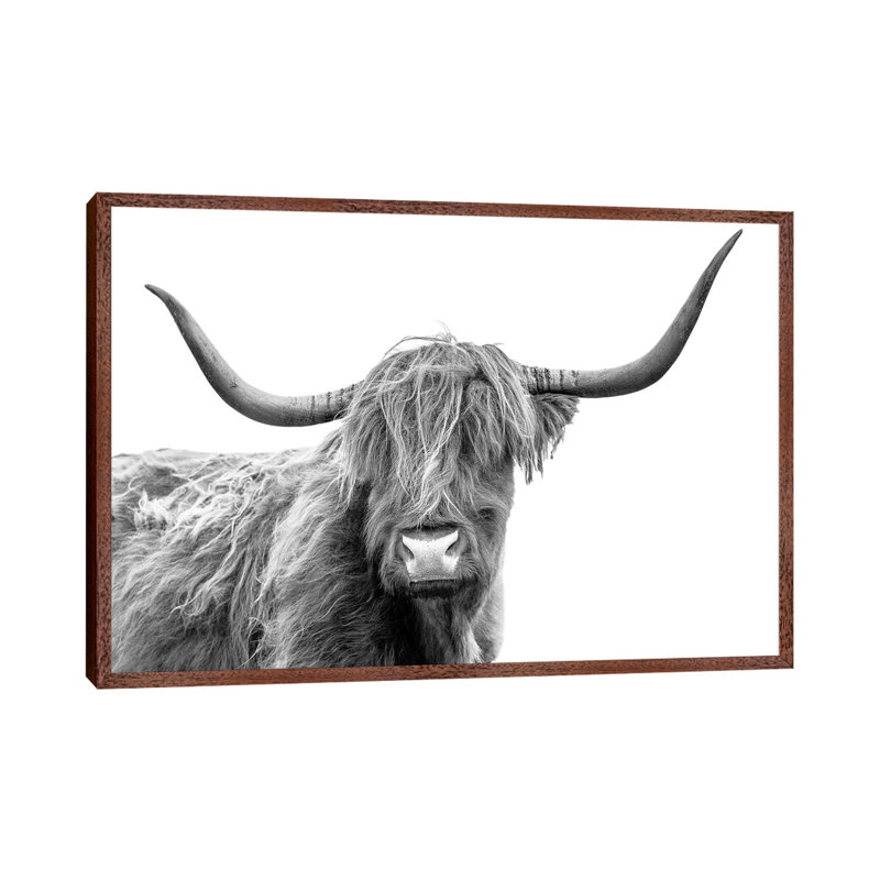 Looking At You III, Scottish Highland Cow Black And White by Susanne Kremer - Print on Canvas