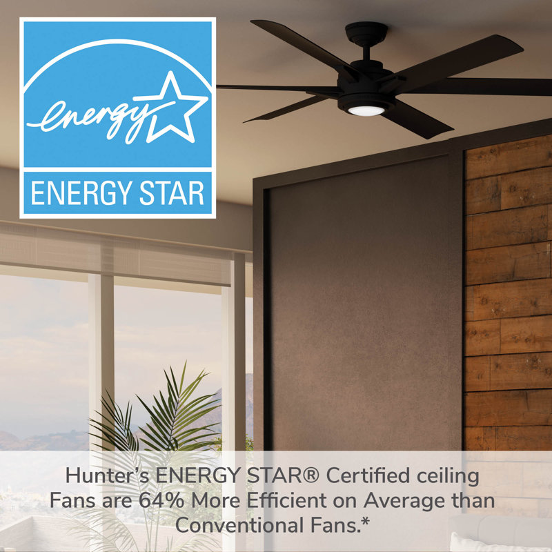 Casablanca 65 inch Melia ENERGY STAR®  Damp Rated Ceiling Fan with Lights and Wall Control, Matte Black