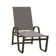 Holna Outdoor Rust-Resistant Metal Chaise Lounge