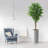 75'' Faux Ficus Tree in Pot