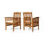 CASA ACACIA DINING CHAIR,2PCS With 2 Cushions-399683227-399683224