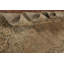 Tapis traditionnel 10 x 13
