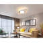 Pratolina LED Flush Mount-1684042724