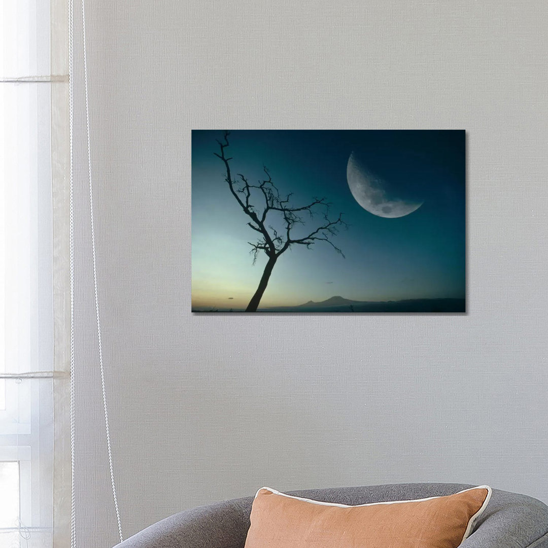 Whistling Thorn And Moon, Amboseli National Park, Kenya by Gerry Ellis - Wrapped Canvas Print