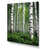 Toile tendue