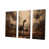 Toile tendue