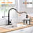 XWSI Pull Down Kitchen Faucet