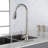 Toolmoo Pull Down Kitchen Faucet-71469158