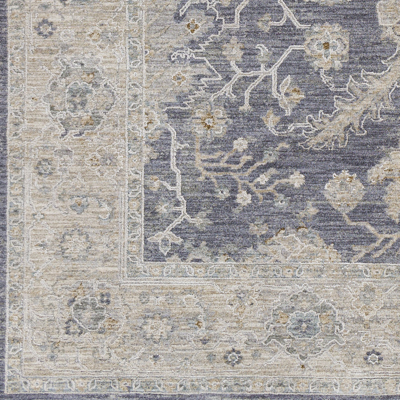 Slidell Oriental Indoor Rug, Rectangle 2'7" x 4'