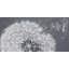 «Blowing Dandelion», art sur toile encadré pour chambre à coucher | Décoration-120118786