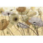 " Fluidity IV " by Shirley Novak Painting Print