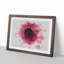 Heart of a Pink Gerbera in Abstract - Picture Frame Graphic Art Print-55763039-55763042