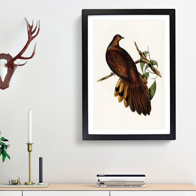 Pheasant-Tailed Pigeon by Elizabeth Gould - Picture Frame Painting Print, 65cm H x 48cm W x 2cm D, Black Framed