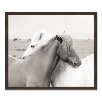 Melanie "Icelandic Meadow Horses" Print