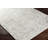 Denzyl Washable Oriental Indoor Rug-1430759505