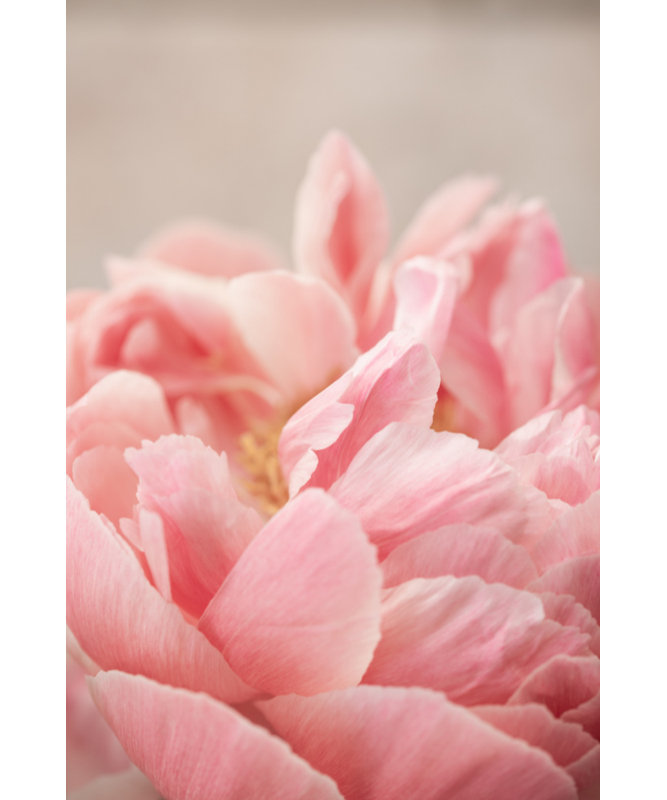 Wrapped Canvas Print, 60.96 cm H x 91.44 cm W