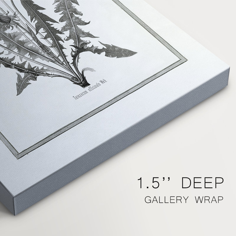Dandelion I -Gallery Wrapped Cavas, 60" H x 40" W