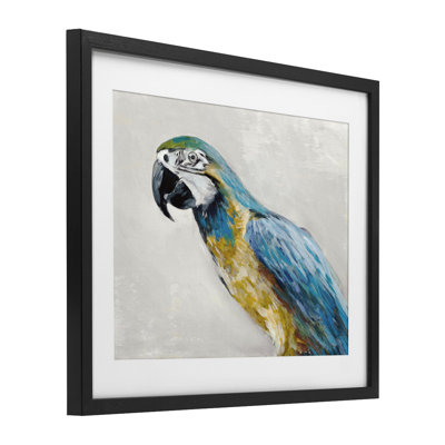 Polly Parrot Portrait, reproduction encadrée sous verre, conception de Jacob Q