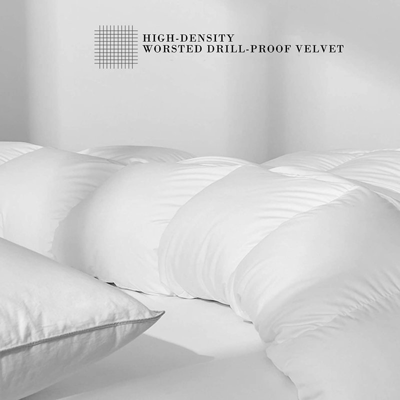 450in³/oz Fill Power All Season Down Blend Down Comforter, Twin