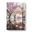 Reflection Of The Pink Blossom Trees - Wrapped Canvas Print-56663895