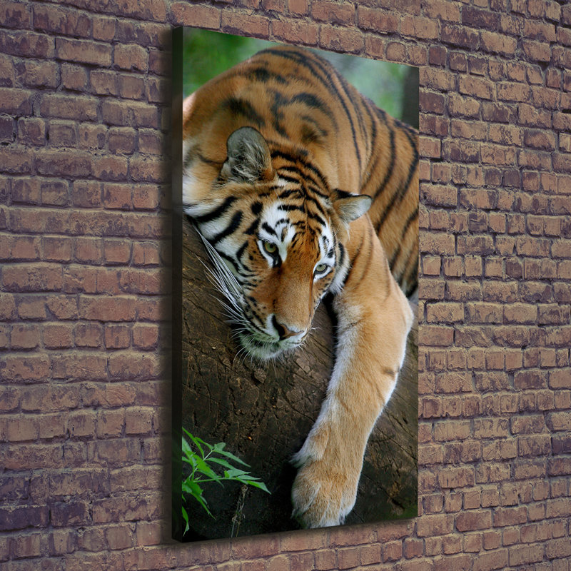 Tiger On The Tree - Wrapped Canvas Print