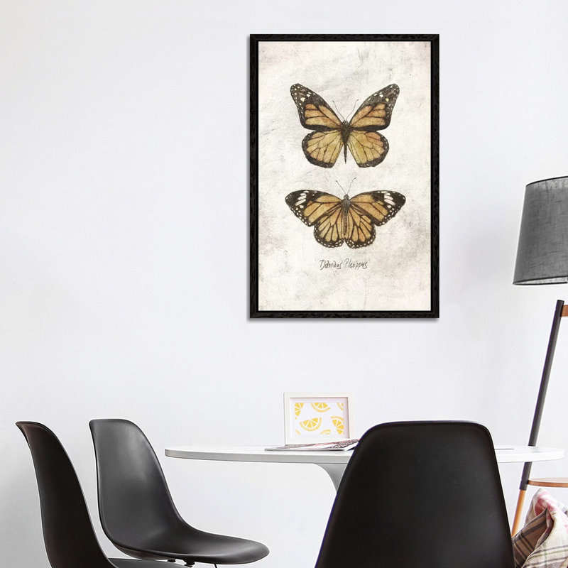Danaus Plexippus by Mike Koubou - Print on Canvas, Black Framed, 101.6cm H x 66.04cm W x 3.81cm D