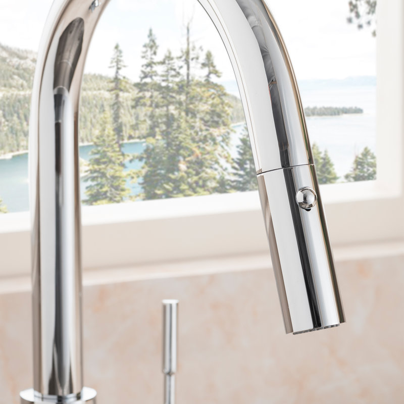 Arthur Single Handle Kitchen Faucet with Side Spray and Accessories, Chrome