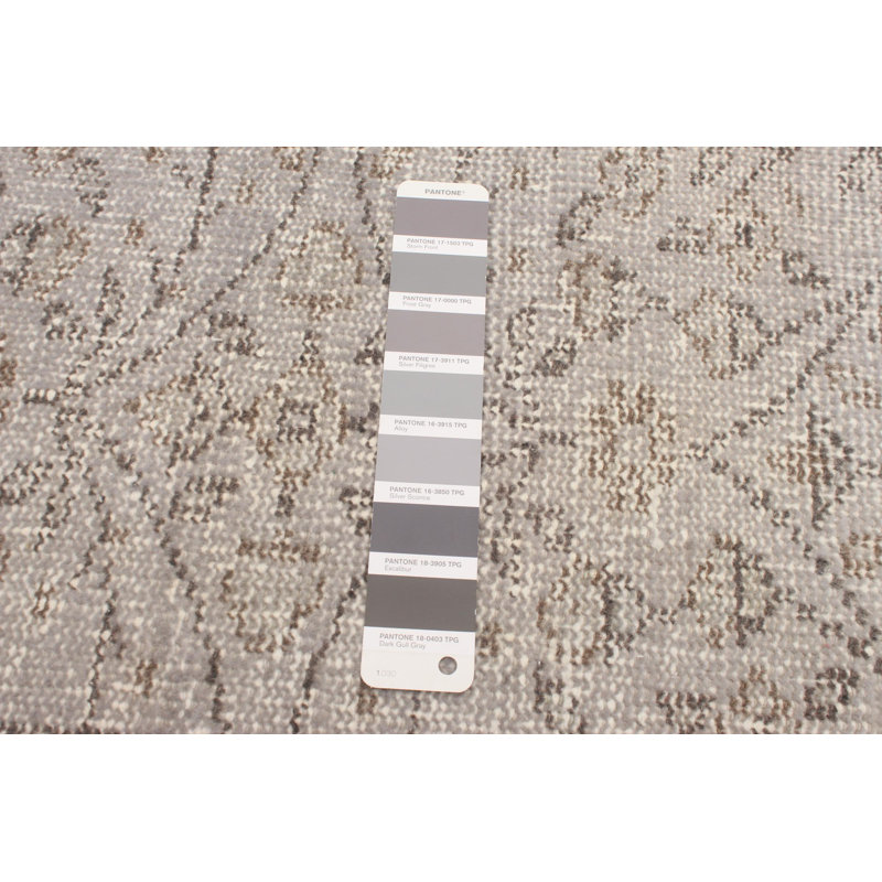 Tapis gris à transition de couleur 6 pi 7 po x 10 pi 6 po