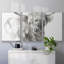 3 bovins Softland Highland Soft Focus-881447655-881447650