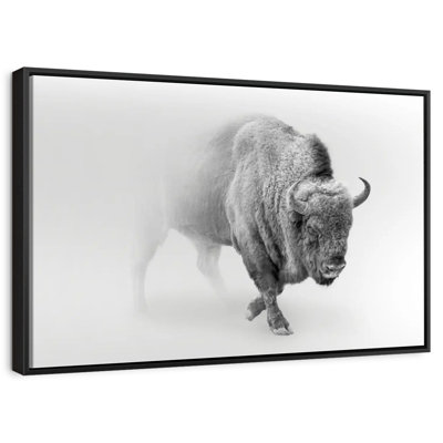 Wild Bison