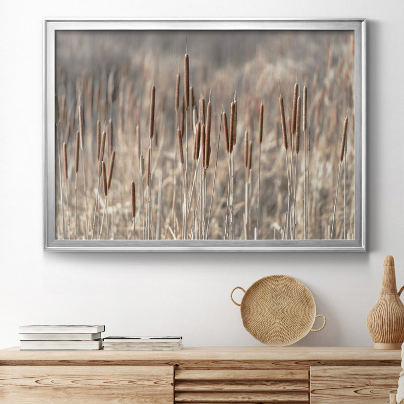 Summer Tails - Photographie avec cadre photo, Silver Framed Canvas, H 18,5 po x l 24,5 po x P 1,5 po