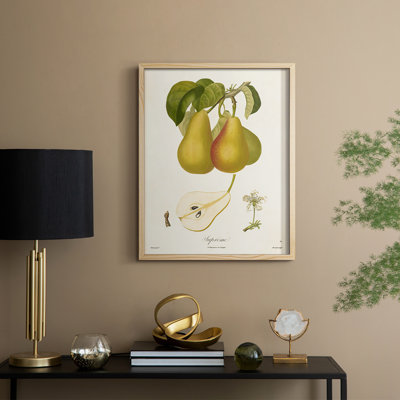 Vintage Pears V Framed Print - Solid Wood