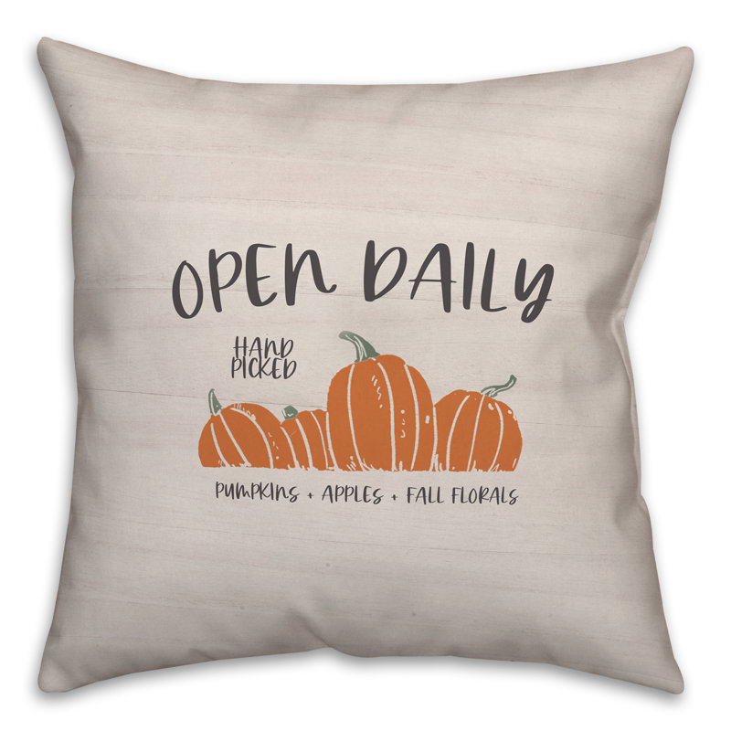 Housse de coussin et insert Open Open, 18 po x 18 po