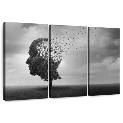 Alcaraz Alzheimer
