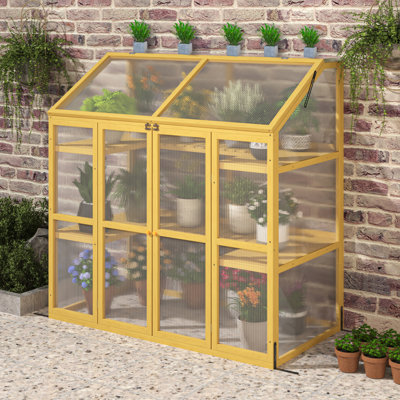 Remise de jardin en bois en polycarbonate pour plantes, garde les plantes assez chaudes, panneaux transparents, stabilité renforcée