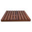 Tapis de douche antidérapant Youngquist-1838896638
