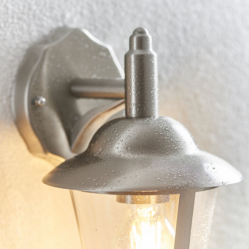 Rumbaugh 31.5cm H Outdoor Armed Sconce