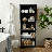 Anotidaishe 71.26'' H Standard Bookcase-2003918393